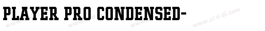 Player Pro Condensed字体转换